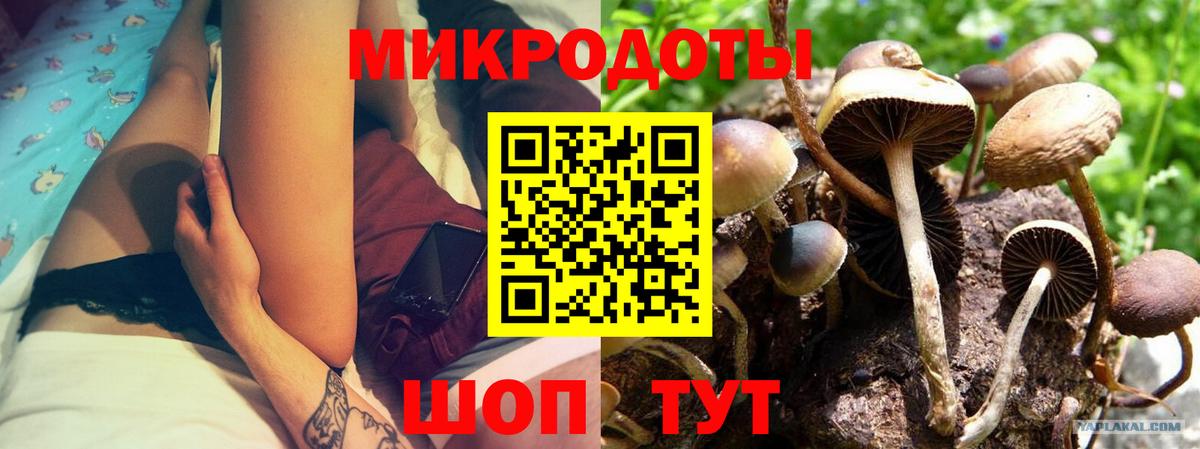 Галлюциногенные грибы прущие грибы  Псилоцибиновые грибы Magic Shrooms  Вход с VPN  Ковров 