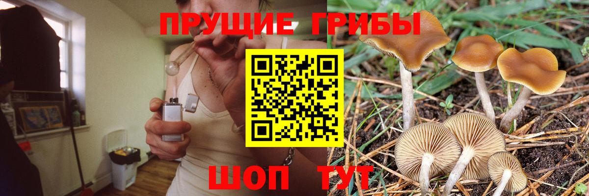 Псилоцибиновые грибы ЛСД Ковров